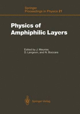 Physics of Amphiphilic Layers 1