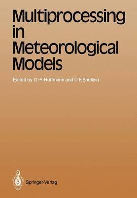 bokomslag Multiprocessing in Meteorological Models