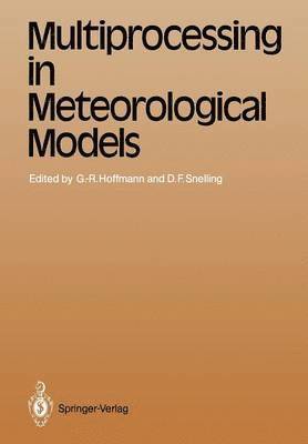 Geerd-R. Hoffmann, David F. Snelling, Geerd-R Hoffmann, Geerd-Rüdiger Hoffmann - Multiprocessing in Meteorological Models, Häftad