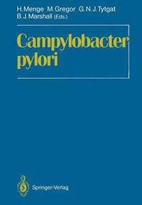 bokomslag Campylobacter pylori