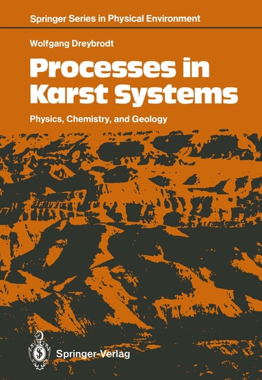 Wolfgang Dreybrodt - Processes in Karst Systems, Häftad