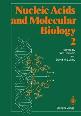 bokomslag Nucleic Acids and Molecular Biology