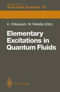 bokomslag Elementary Excitations in Quantum Fluids