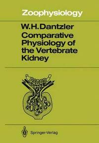bokomslag Comparative Physiology of the Vertebrate Kidney