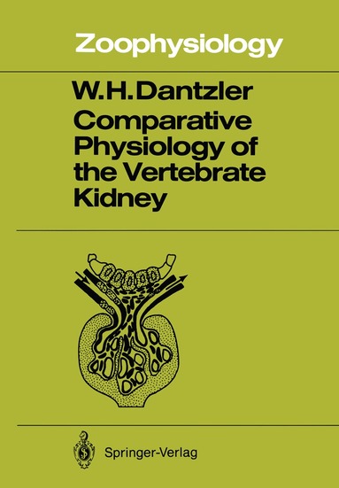 William H. Dantzler - Comparative Physiology of the Vertebrate Kidney, Häftad