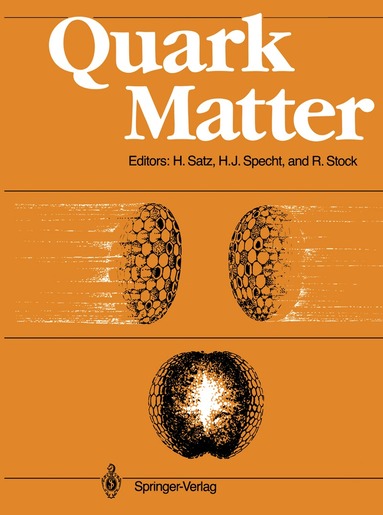 Helmut Satz, Hans J. Specht, Reinhard Stock - Quark Matter, Häftad