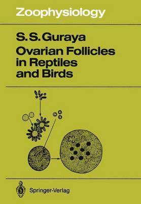 Ovarian Follicles in Reptiles and Birds 1