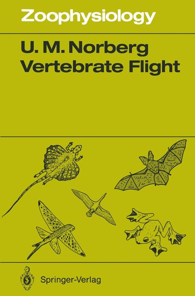 Ulla M. Norberg - Vertebrate Flight, Häftad