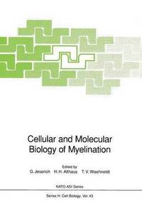 bokomslag Cellular and Molecular Biology of Myelination