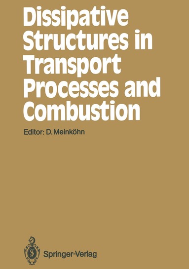 bokomslag Dissipative Structures in Transport Processes and Combustion