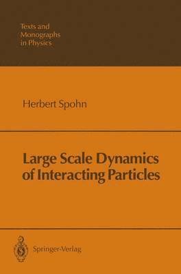 Large Scale Dynamics of Interacting Particles 1