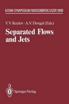 bokomslag Separated Flows and Jets