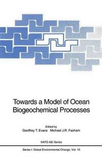bokomslag Towards a Model of Ocean Biogeochemical Processes