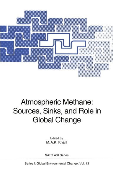 bokomslag Atmospheric Methane: Sources, Sinks, and Role in Global Change
