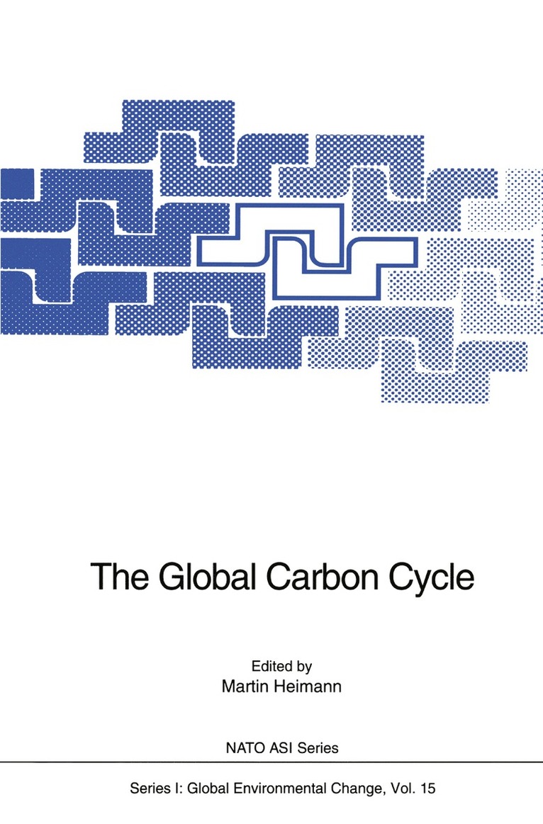 Martin Heimann - Global Carbon Cycle, Häftad