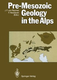 bokomslag Pre-Mesozoic Geology in the Alps