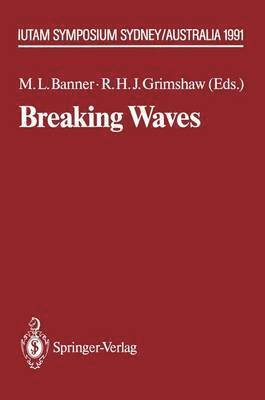 Breaking Waves 1