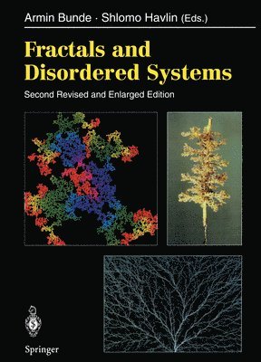 bokomslag Fractals and Disordered Systems