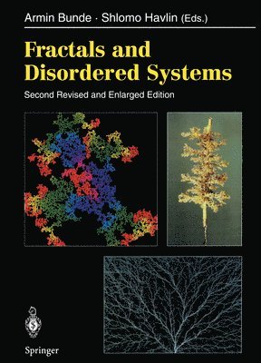 Fractals and Disordered Systems 1