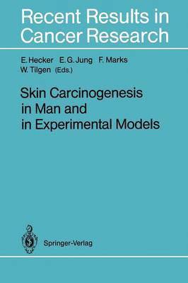 bokomslag Skin Carcinogenesis in Man and in Experimental Models