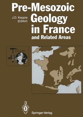 bokomslag Pre-Mesozoic Geology in France and Related Areas