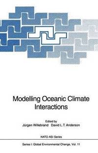 bokomslag Modelling Oceanic Climate Interactions