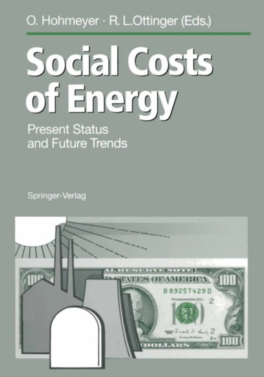 Olav Hohmeyer, Richard L. Ottinger - Social Costs of Energy, Häftad