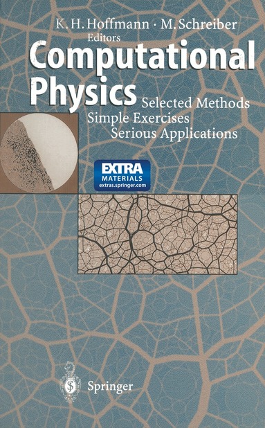 Karl H. Hoffmann, Michael Schreiber - Computational Physics, Häftad