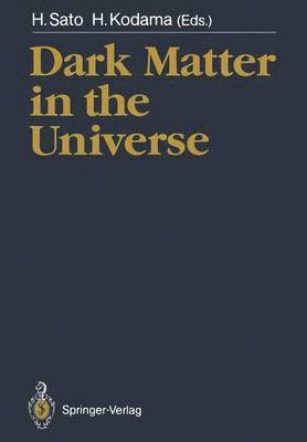 bokomslag Dark Matter in the Universe