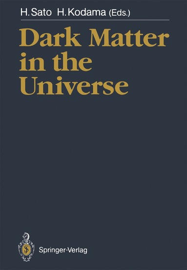 bokomslag Dark Matter in the Universe