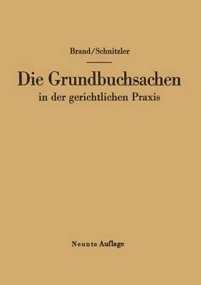 bokomslag Die Grundbuchsachen in der gerichtlichen Praxis