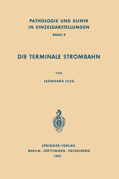 bokomslag Die Terminale Strombahn