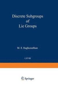 bokomslag Discrete Subgroups of Lie Groups