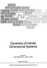 bokomslag Dynamics of Infinite Dimensional Systems