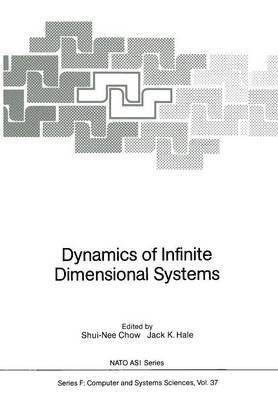 Dynamics of Infinite Dimensional Systems 1