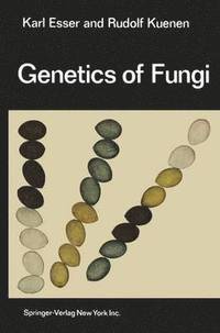 bokomslag Genetics of Fungi