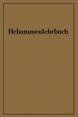 bokomslag Hebammenlehrbuch