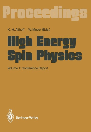 Karl-Heinz Althoff, Werner Meyer - High Energy Spin Physics, Häftad