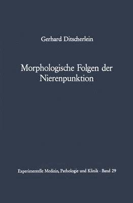 bokomslag Morphologische Folgen der Nierenpunktion