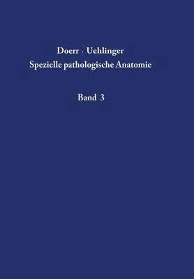 Niere und ableitende Harnwege