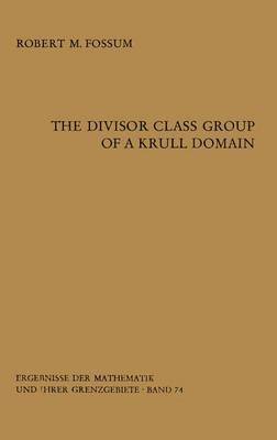 bokomslag The Divisor Class Group of a Krull Domain