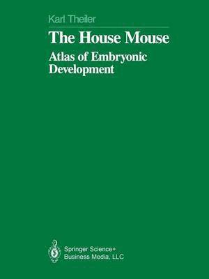 bokomslag The House Mouse