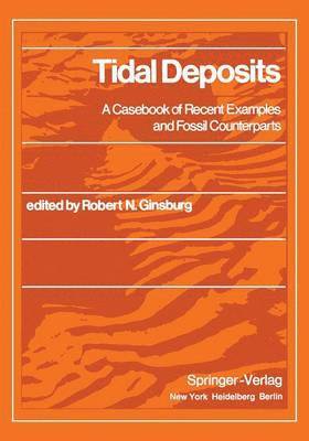 R.N. Ginsburg, R. N. Ginsburg - Tidal Deposits, Häftad