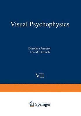 bokomslag Visual Psychophysics