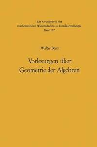 bokomslag Vorlesungen ber Geometrie der Algebren
