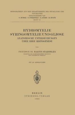 bokomslag Hydromyelie Syringomyelie und Gliose