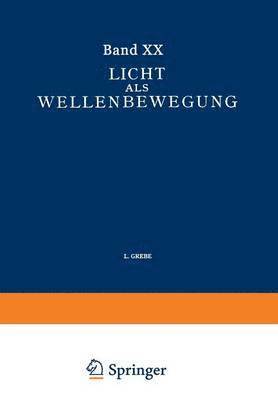 bokomslag Licht Als Wellenbewegung