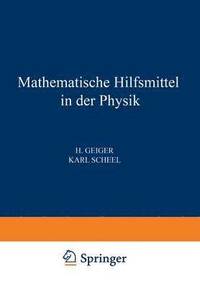 bokomslag Mathematische Hilfsmittel in der Physik