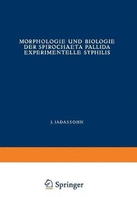 bokomslag Morphologie und Biologie der Spirochaeta Pallida Experimentelle Syphilis