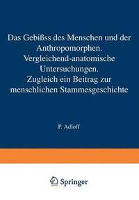 bokomslag Das Gebiss des Menschen und der Anthropomorphen. Vergleichend-anatomische Untersuchungen